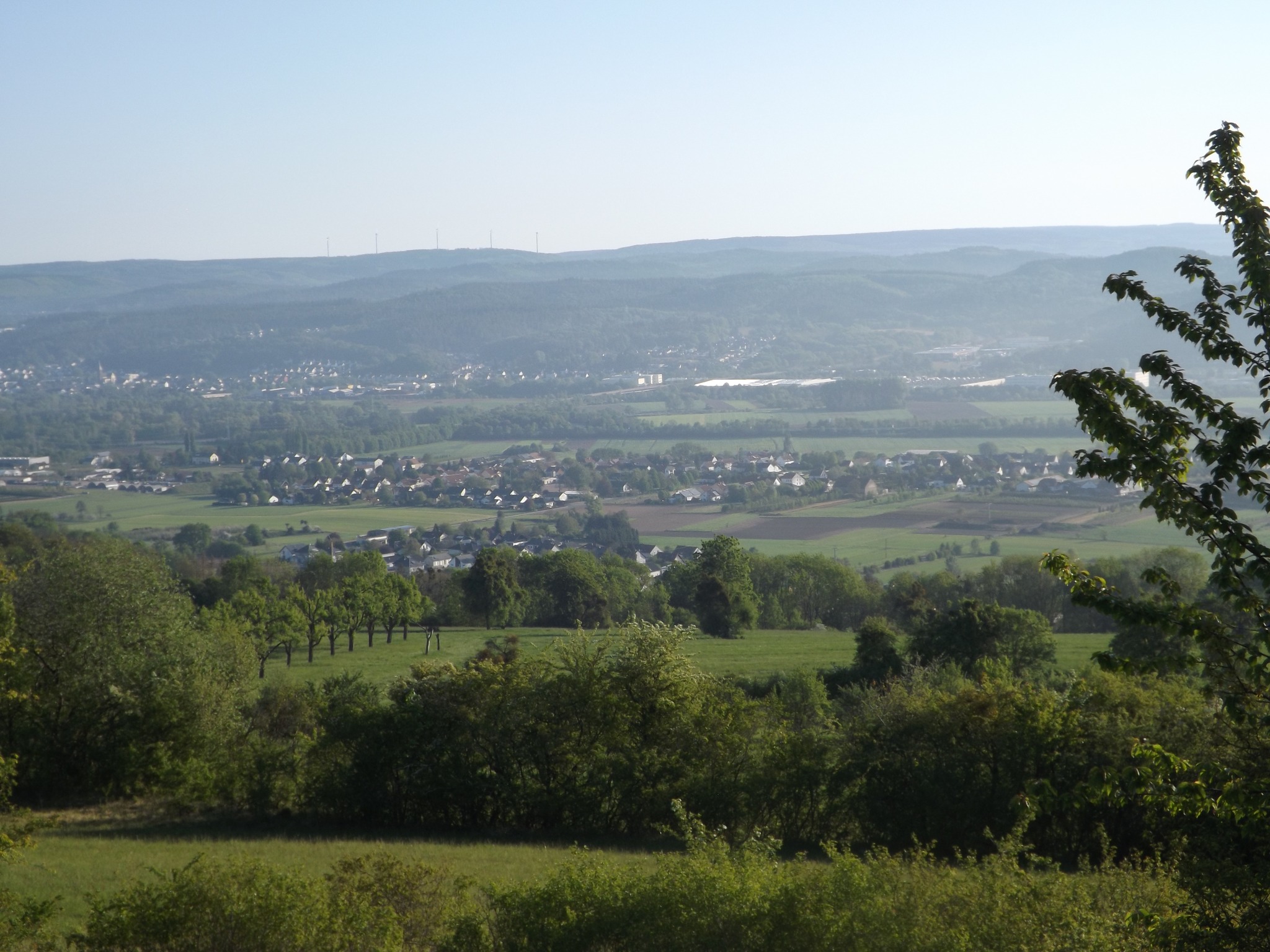 Die Saargauer Wiesen – ein Stück Heimatlandschaft – Streifzug durch die „grüne Au“ und ihre Geschichte von Dr. A. Jacob (Mondorf) 3. Juli 62 SZ